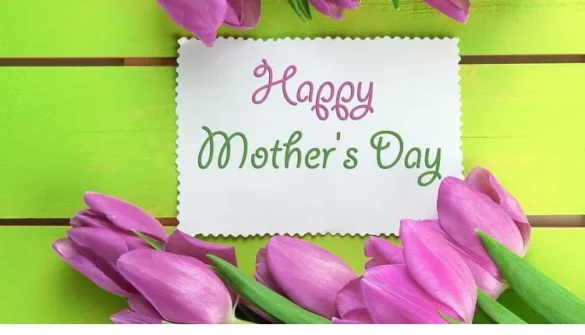 ccccccccccccccccc (2)