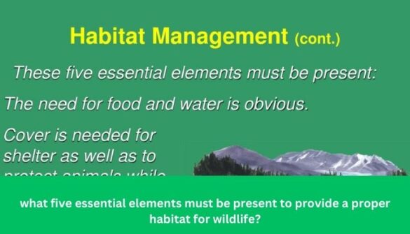 what five essential elements must be present to provide a proper habitat for wildlife?