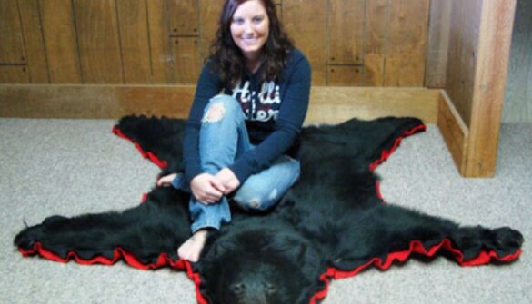 Bear Rugs For Sale (1)